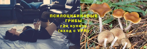 твердый Верхний Тагил